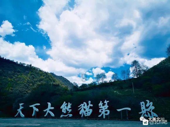 逃离梦想花园
